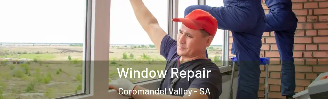 Window Repair Coromandel Valley - SA