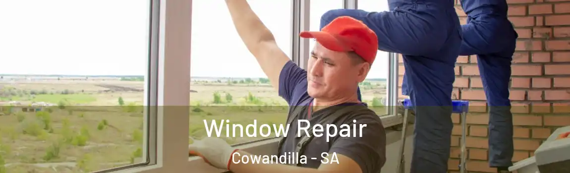 Window Repair Cowandilla - SA