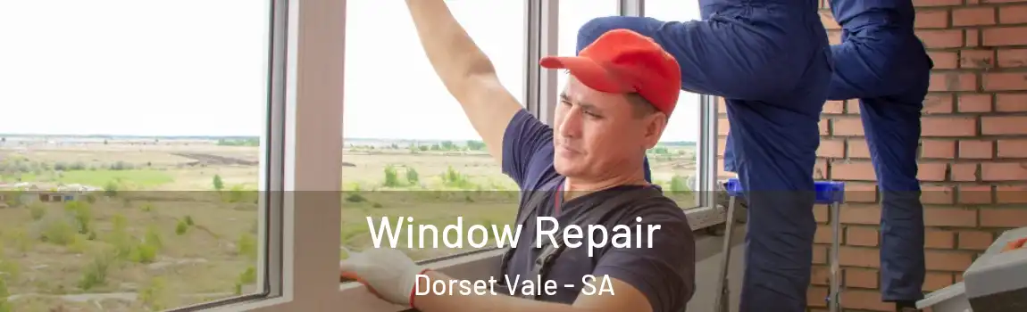 Window Repair Dorset Vale - SA