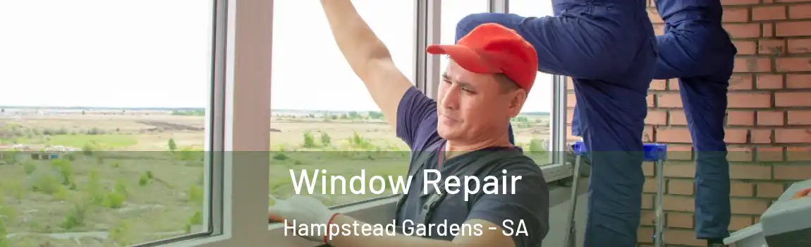Window Repair Hampstead Gardens - SA