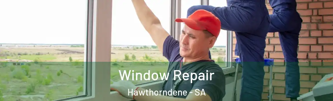 Window Repair Hawthorndene - SA