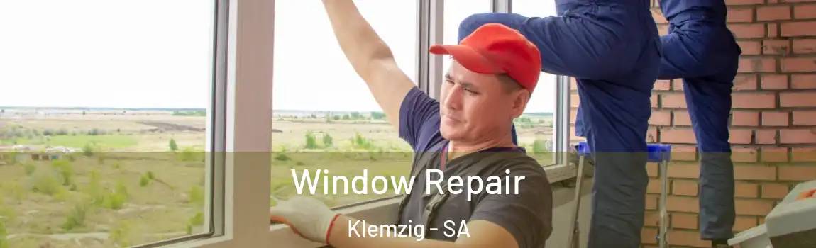 Window Repair Klemzig - SA