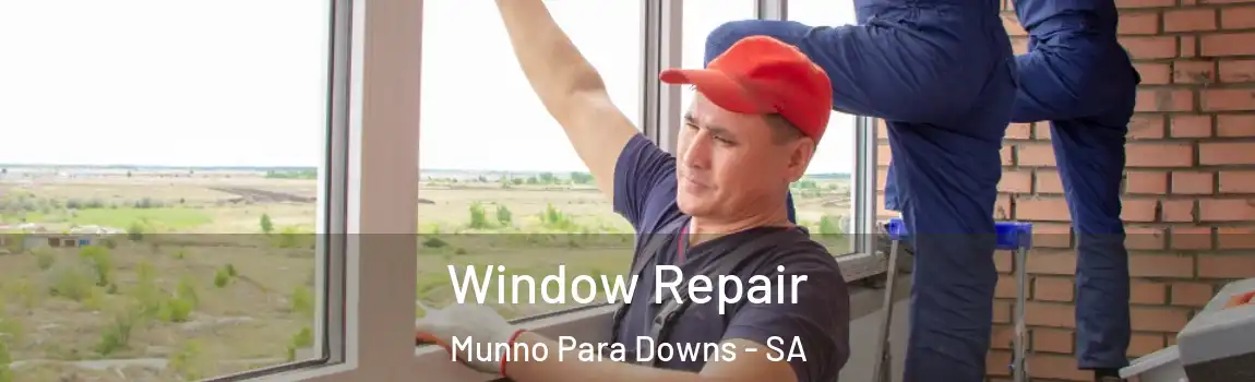  Window Repair Munno Para Downs - SA