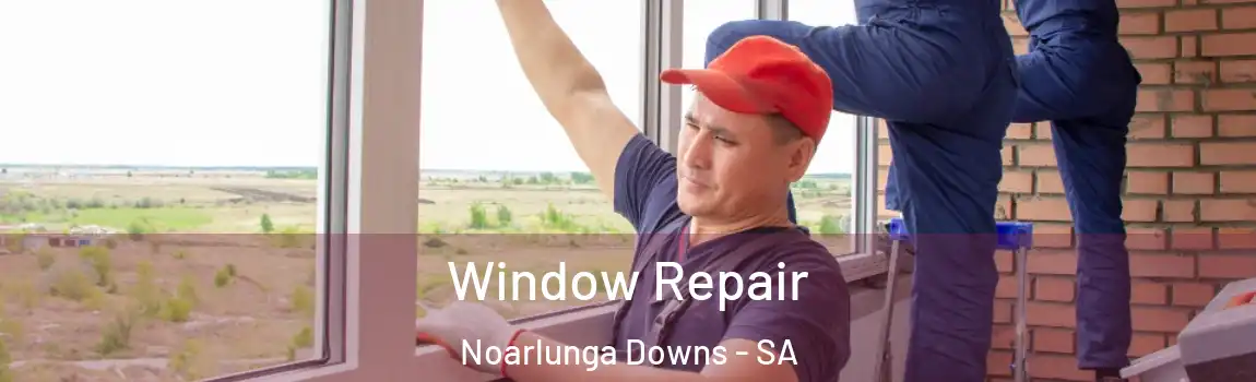  Window Repair Noarlunga Downs - SA