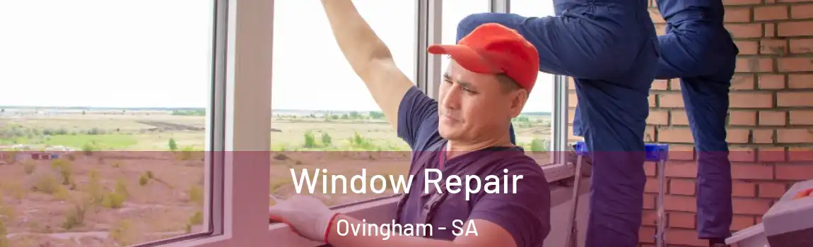  Window Repair Ovingham - SA