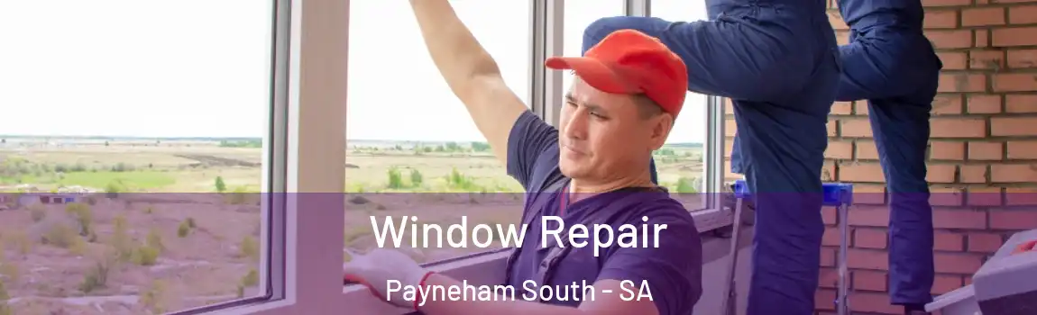 Window Repair Payneham South - SA
