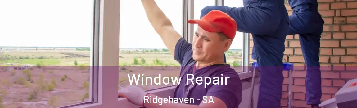  Window Repair Ridgehaven - SA
