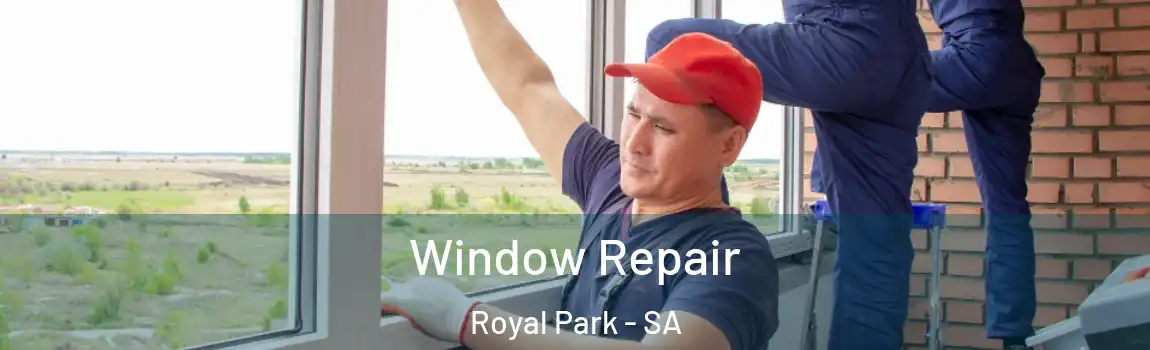 Window Repair Royal Park - SA
