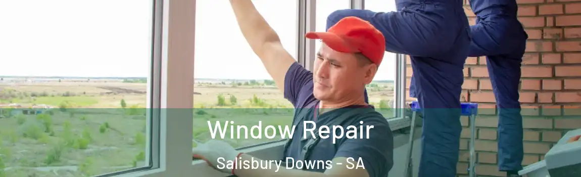  Window Repair Salisbury Downs - SA