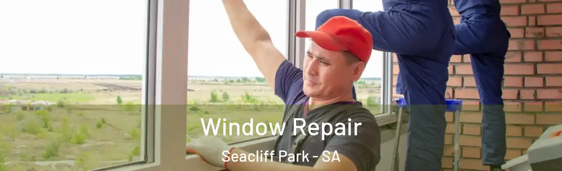Window Repair Seacliff Park - SA