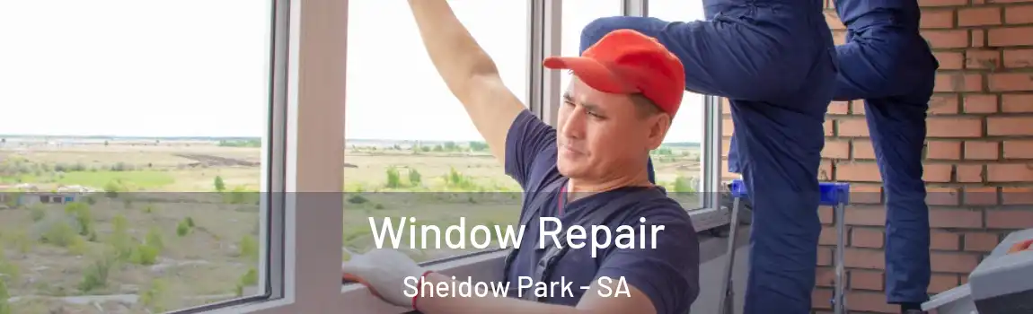  Window Repair Sheidow Park - SA