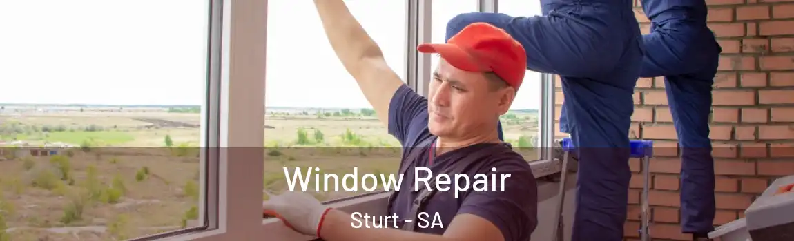 Window Repair Sturt - SA