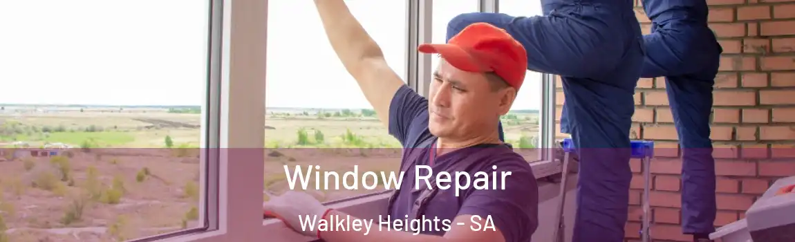  Window Repair Walkley Heights - SA