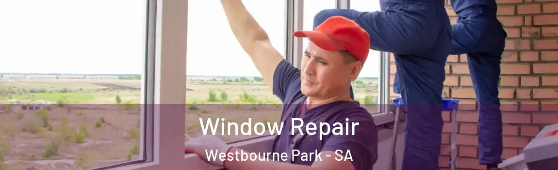 Window Repair Westbourne Park - SA