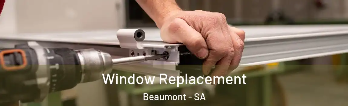 Window Replacement Beaumont - SA