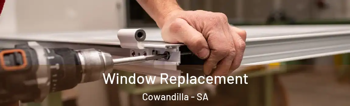  Window Replacement Cowandilla - SA
