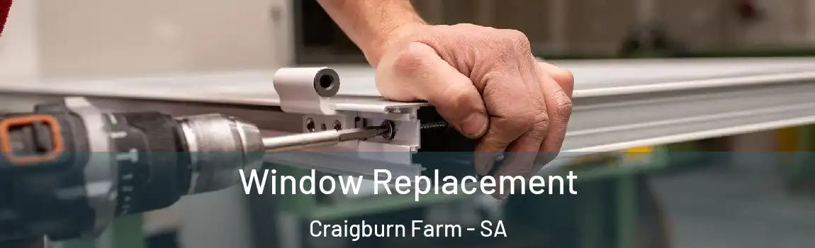  Window Replacement Craigburn Farm - SA