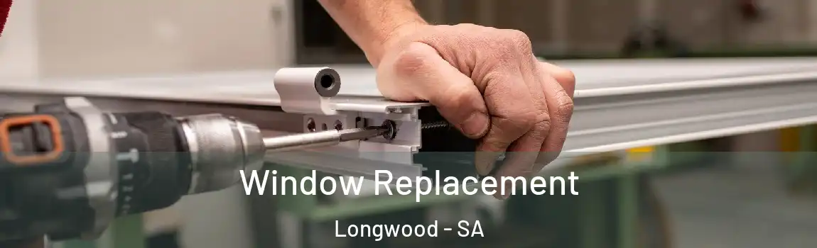 Window Replacement Longwood - SA