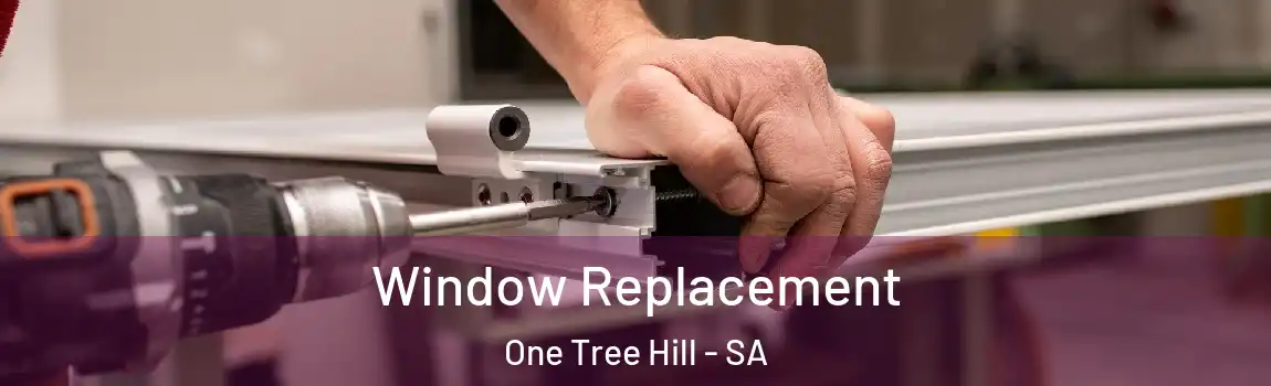  Window Replacement One Tree Hill - SA