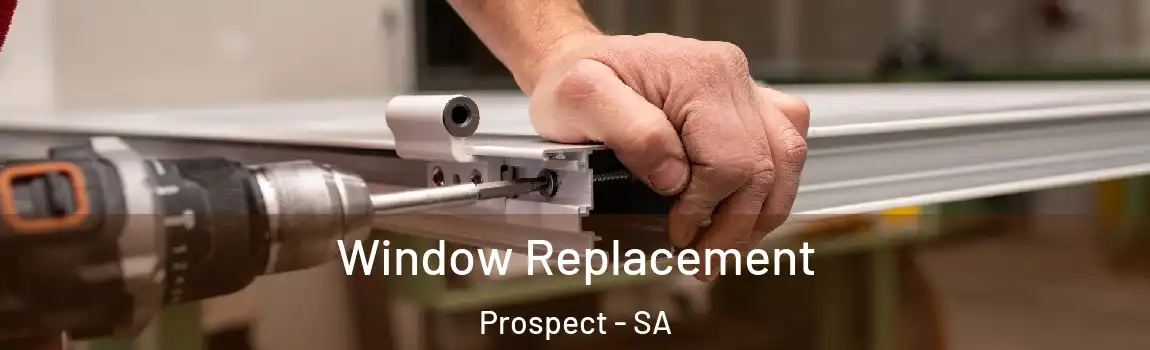  Window Replacement Prospect - SA