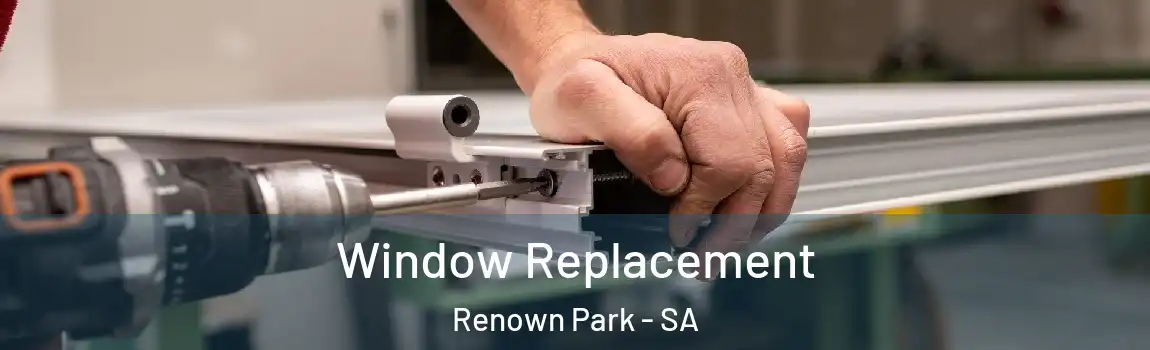  Window Replacement Renown Park - SA