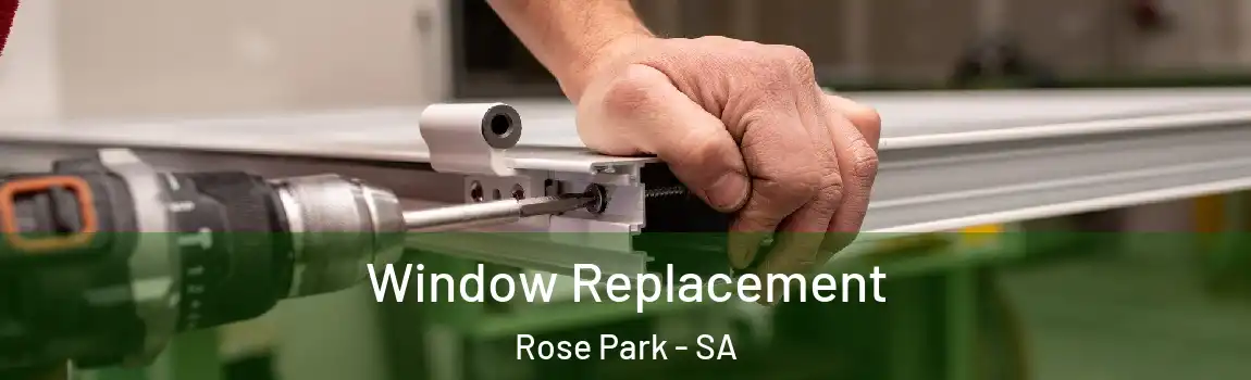 Window Replacement Rose Park - SA