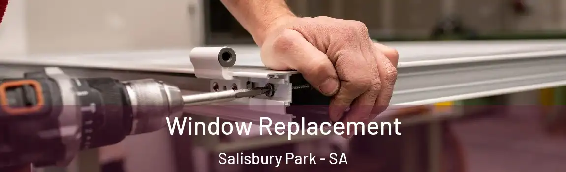  Window Replacement Salisbury Park - SA