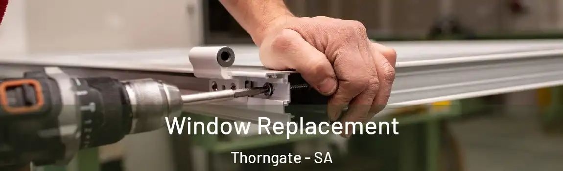  Window Replacement Thorngate - SA