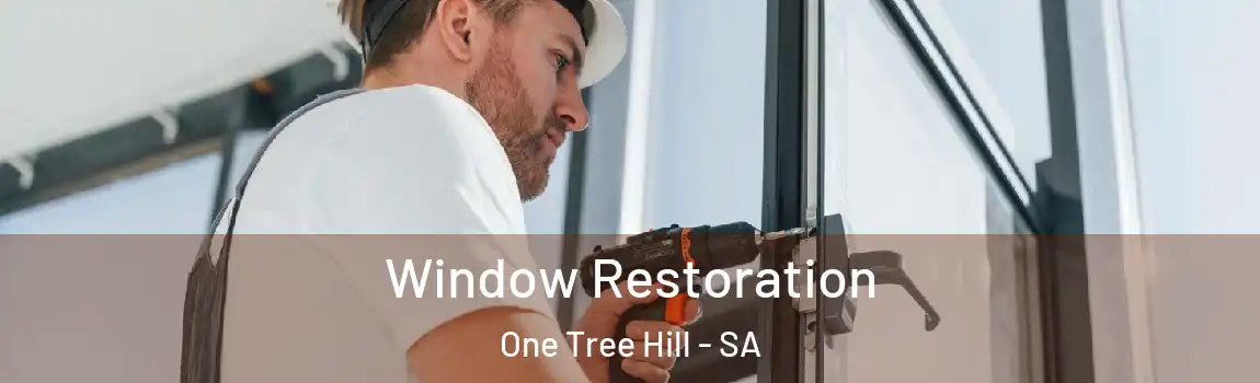  Window Restoration One Tree Hill - SA
