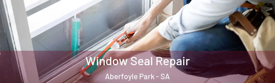 Window Seal Repair Aberfoyle Park - SA