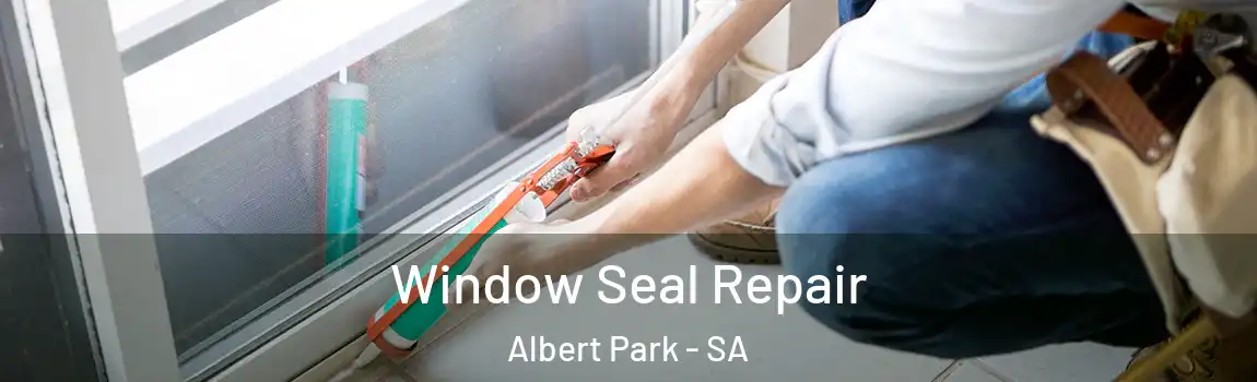  Window Seal Repair Albert Park - SA