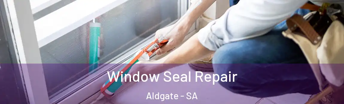  Window Seal Repair Aldgate - SA