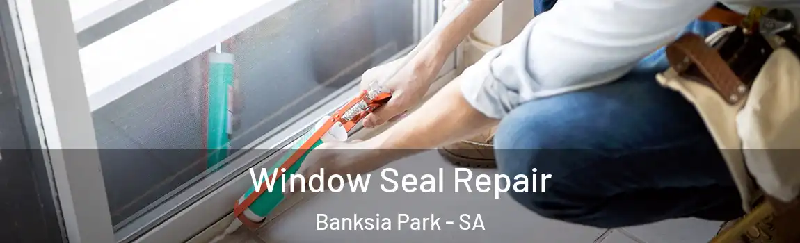 Window Seal Repair Banksia Park - SA