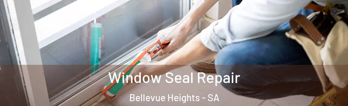 Window Seal Repair Bellevue Heights - SA