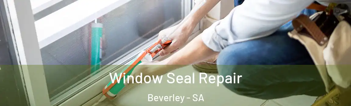 Window Seal Repair Beverley - SA