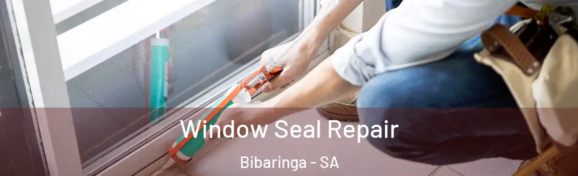  Window Seal Repair Bibaringa - SA