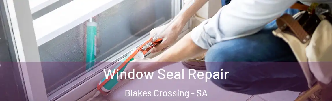  Window Seal Repair Blakes Crossing - SA