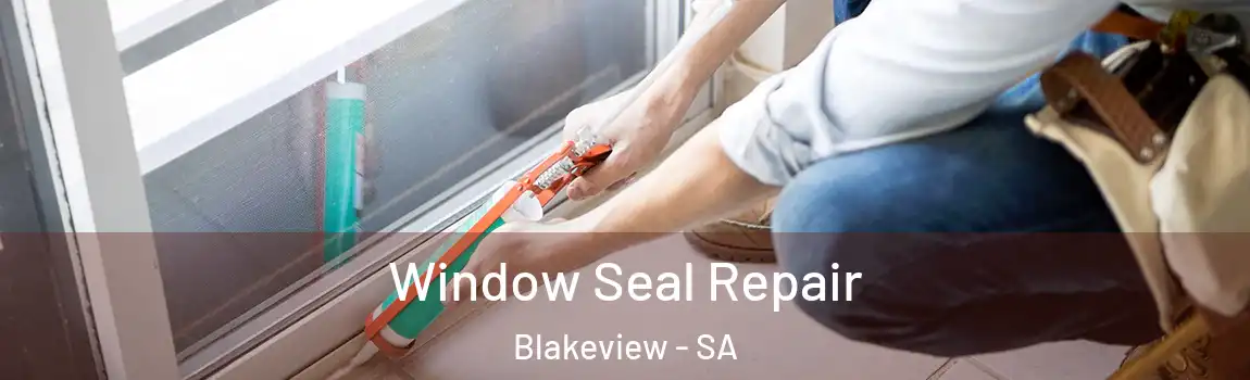 Window Seal Repair Blakeview - SA
