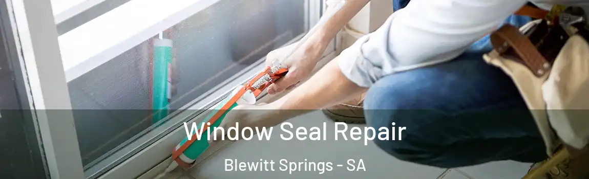  Window Seal Repair Blewitt Springs - SA