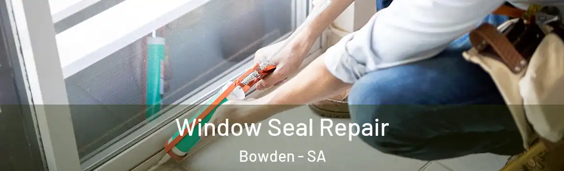  Window Seal Repair Bowden - SA