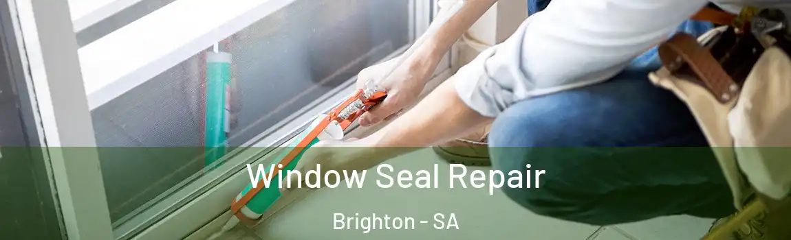  Window Seal Repair Brighton - SA