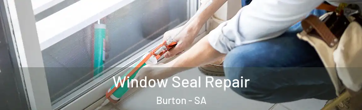 Window Seal Repair Burton - SA
