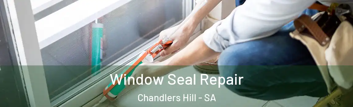  Window Seal Repair Chandlers Hill - SA