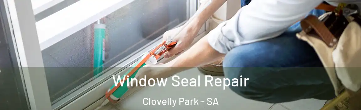 Window Seal Repair Clovelly Park - SA