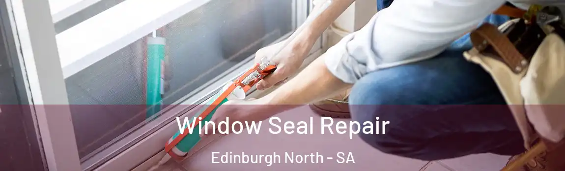 Window Seal Repair Edinburgh North - SA