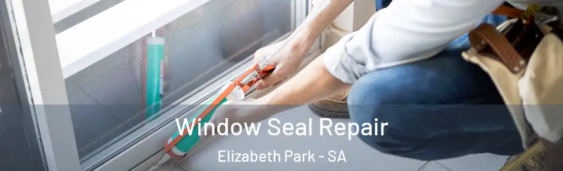  Window Seal Repair Elizabeth Park - SA