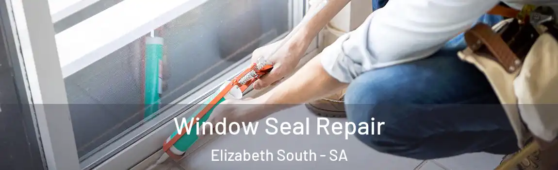 Window Seal Repair Elizabeth South - SA