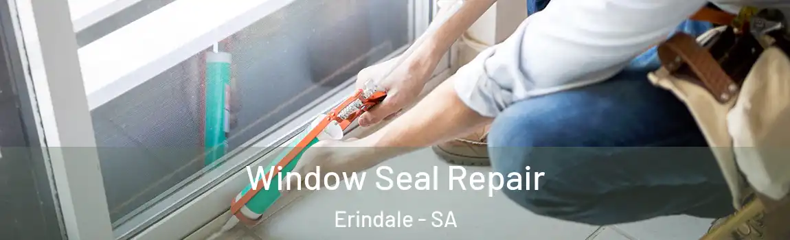  Window Seal Repair Erindale - SA