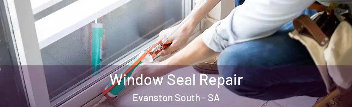 Window Seal Repair Evanston South - SA