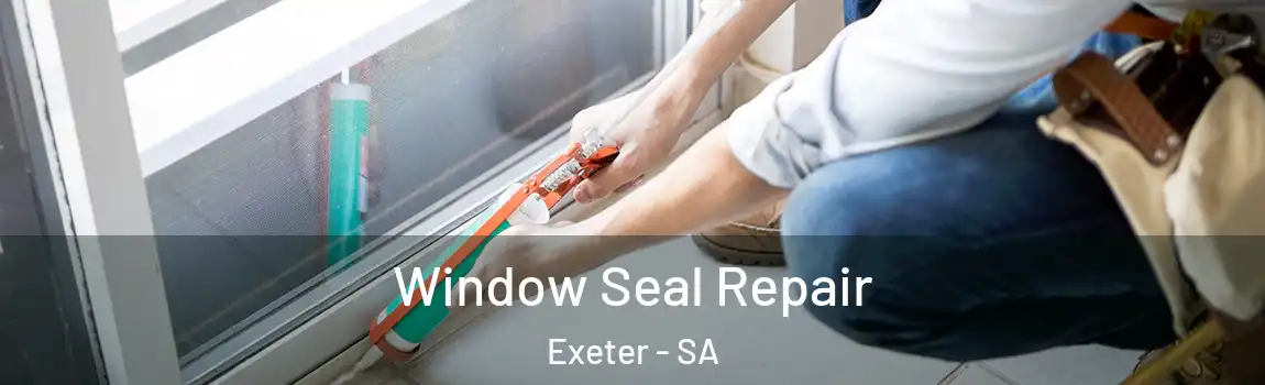  Window Seal Repair Exeter - SA